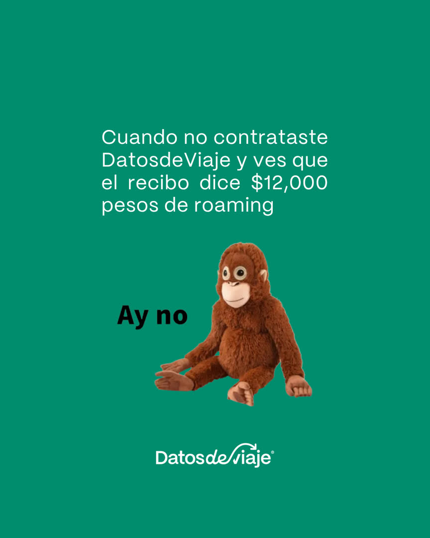 Pieza de campaña Datos de viaje