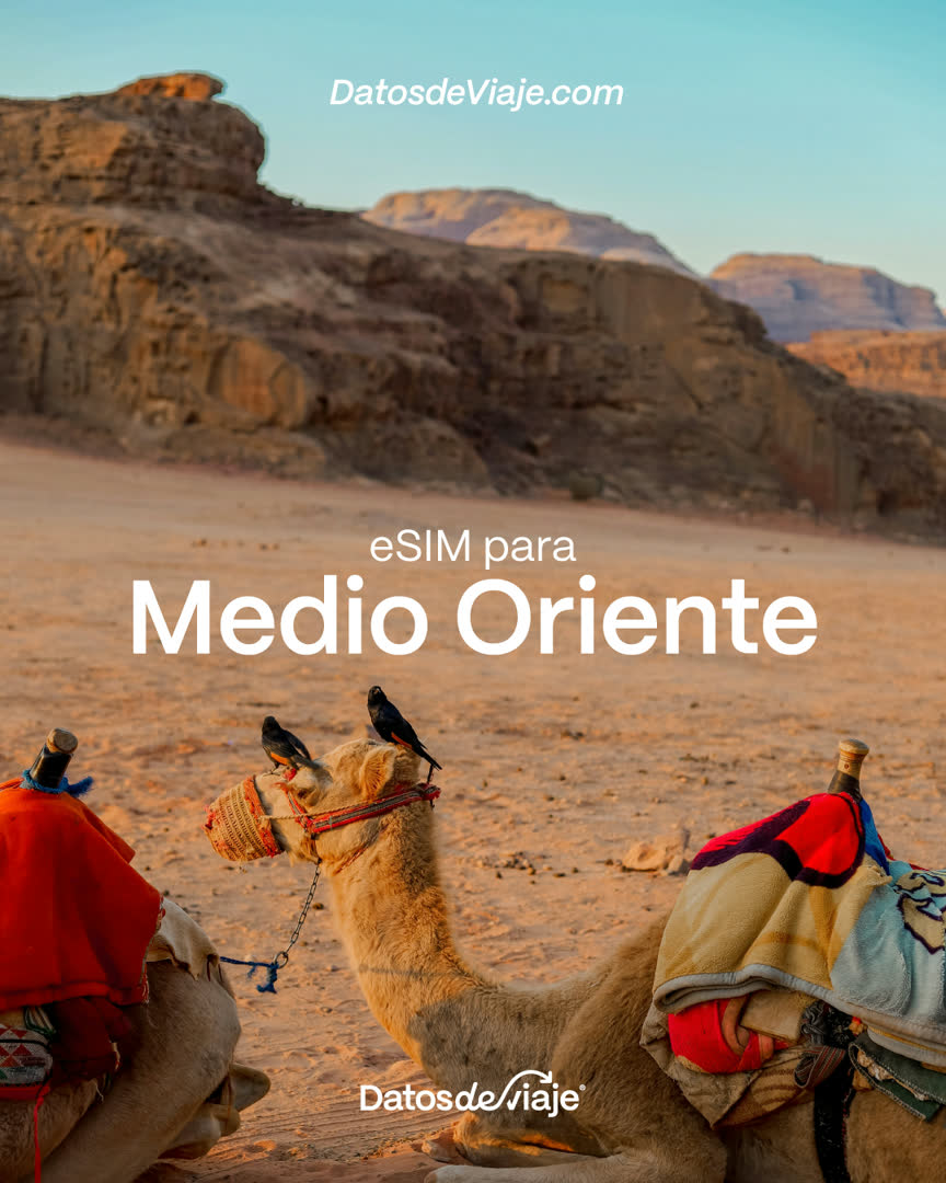 Pieza de campaña Datos de viaje
